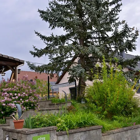 Holiday home Avec Terrasse Privee Et Parking A - Fr-1-744-44 *